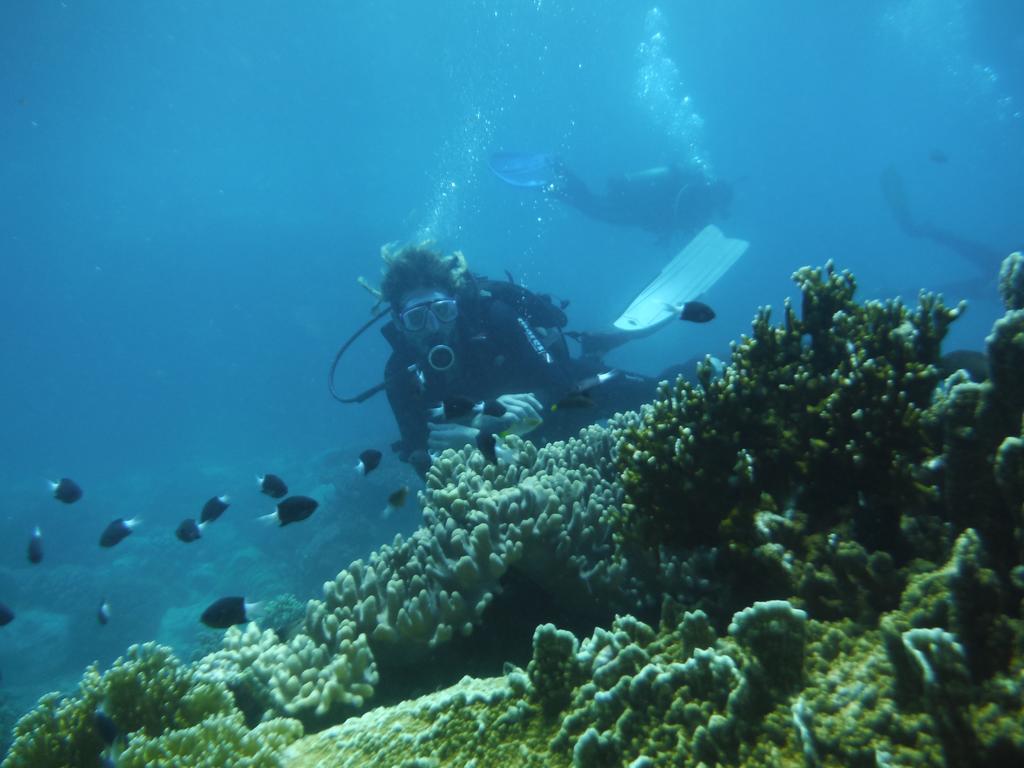 Hapier Villa Να Τρανγκ Εξωτερικό φωτογραφία